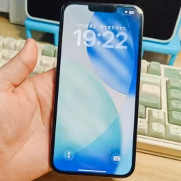 闲鱼二手iPhone别光看爱思，我的13 Pro Max全绿照样翻车