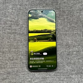 盘点2500元左右值得入手的机型，有新款也有老款