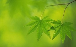 有哪些适合14岁学生网上兼职赚钱的软件？学生赚钱的正规平台推荐