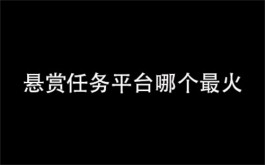 悬赏任务平台哪个最火（2023年最好的悬赏任务赚钱软件）