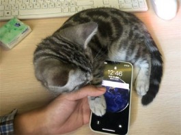赚钱app第一名？这些app都是能够让你当一份工作去做的