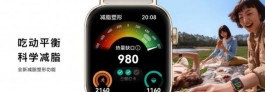 华为WATCHFIT3有多重？