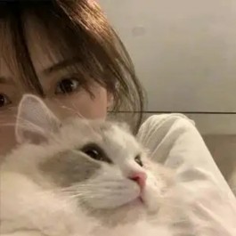 手机上如何赚钱？2025年手机上真正能挣钱正规赚钱最快的app