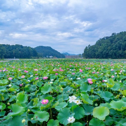 手机上赚钱的方法有哪些？分享三个比较实用的手机赚钱方法